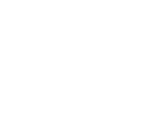 marca-wt-idc-instituto-dirson-costa-arte-cultura-amazonia